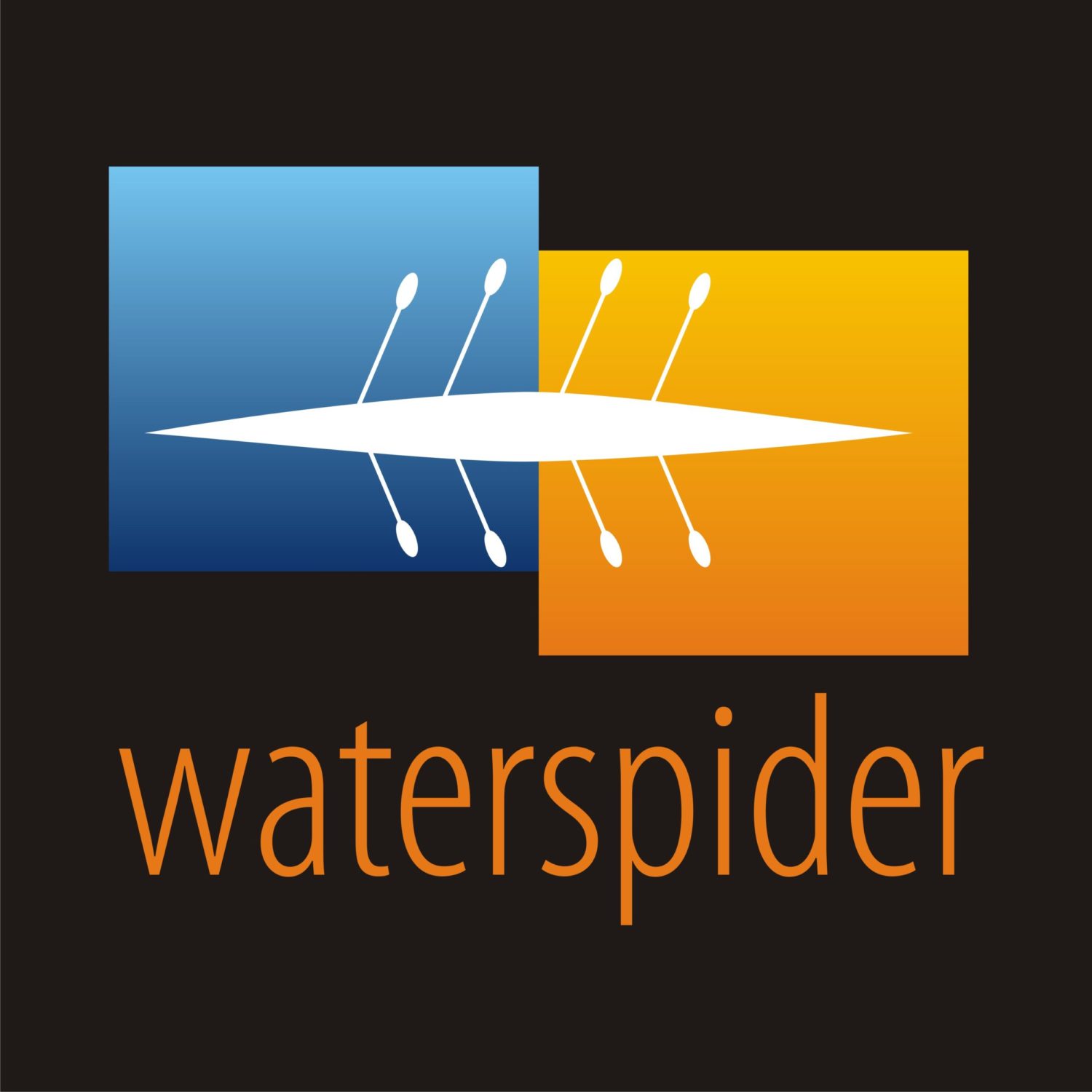 Waterspider_black